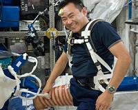 ISS Science Rockets Into 2016