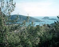 Turkey casts doubt on nuclear plant project