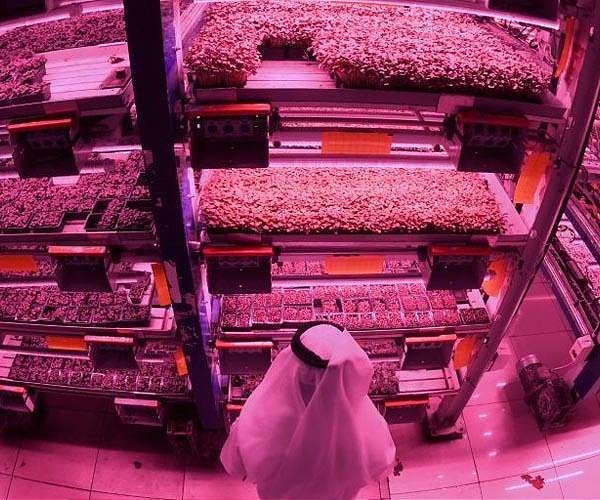 Food drives a third of global emissions: report