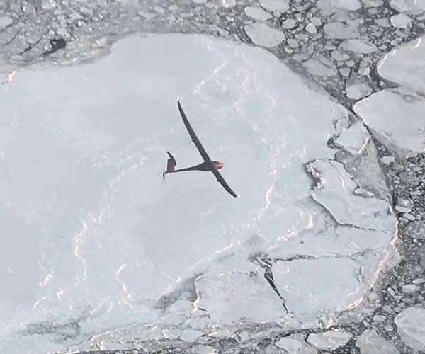 Seismic data can identify aircraft by type