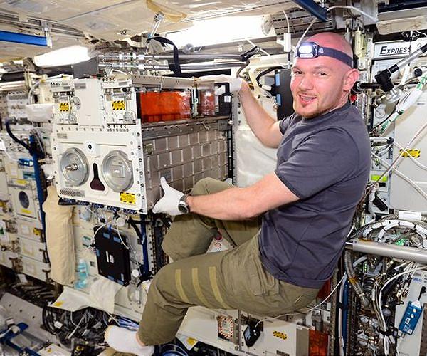 Immune System Responses Studied in Space by Biomedical Intern