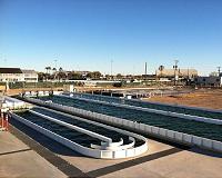 Harnessing algae for the creation of clean energy