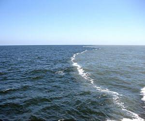 Researchers assess effects of a world awash in nitrogen