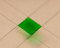 Swimming algae offer Penn researchers insights into living fluid dynamics