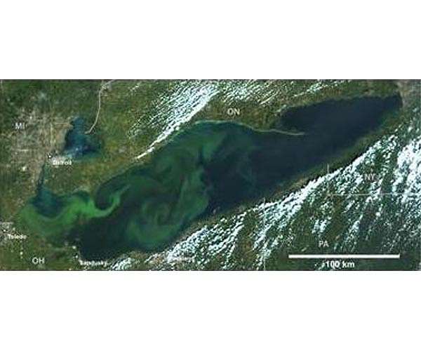 Climate change fuels new toxic algal blooms along Pacific Coast