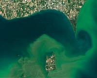 Protecting streams that feed Lake Erie will take much work