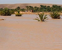 Eight more deaths in Algerian floods