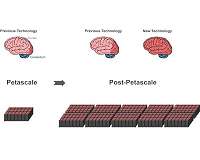 Researchers find algorithm for large-scale brain simulations