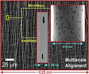 Researchers Find Way To Align Gold Nanorods On A Large Scale