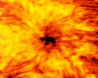 ALMA starts observing the sun