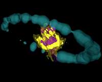 Heart of an exploded star observed in 3-D