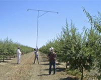 Digital Cameras And Remote Satellites Measure Crop Water Demand