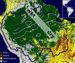 New study evaluates impact of land use activity in the Amazon basin
