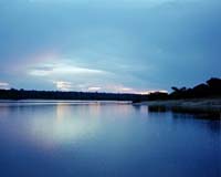 Drought threatens Amazon, speeds global warming: study