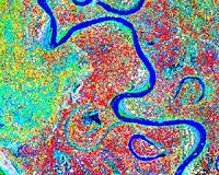 Location matters in the lowland Amazon