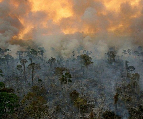 Fires 'poisoning air' in Amazon: study