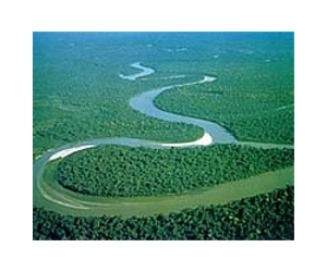 Brazil activists, energy group to meet over Amazon dam