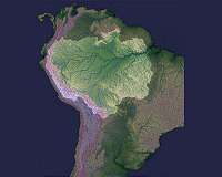 Peruvian Amazon undergoing deforestation at accelerating pace: official