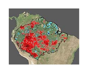 New Study Examines Effects Of Drought In The Amazon