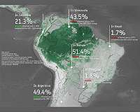 Increasing indigenous property rights could help save the rainforest
