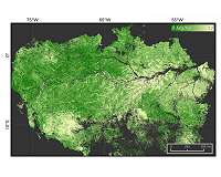 Amazon forests failing to keep up with climate change
