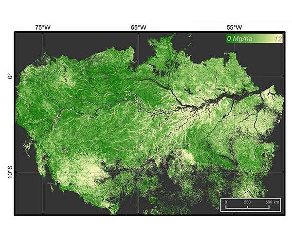 Amazon's threatened species impacted by fires: study