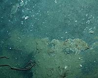 Deep earth recycling of the oceanic floor