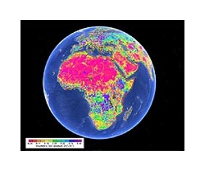 Crop breeding could slash CO2 levels