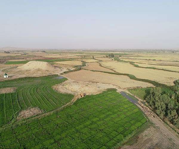 Eight killed in Iraq clashes over farmland