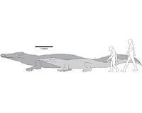 Paleontologists dig up remains of ancient giant crocodile