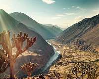 Amazonian crop domestication began at least 10,000 years ago