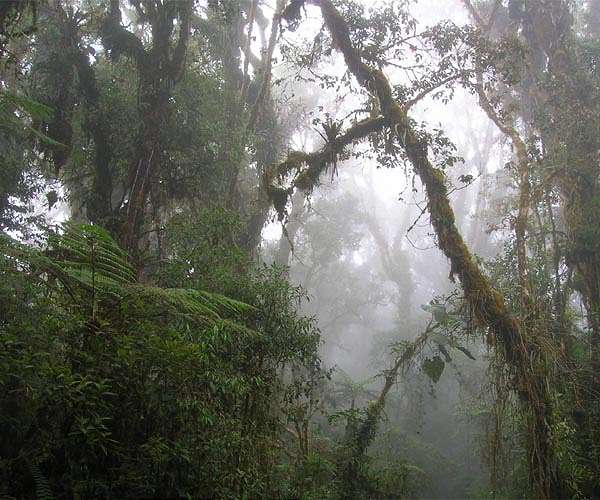 'Failure not an option' for jungle commandos in Colombian children rescue