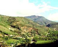 Colombia seeks 'environmental corridor' across Andes, Amazon