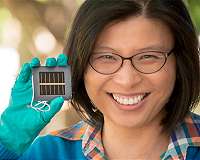 Next-generation solar cells pass strict international tests