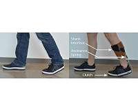 Ankle exoskeleton fits under clothes for potential broad adoption