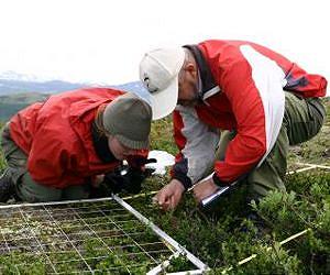 European mountain vegetation shows effects of warmer climate