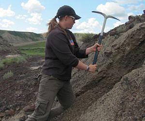Dinosaur-era climate change study suggests reasons for turtle disappearance
