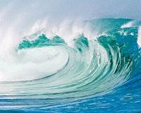 Declining ocean health threatens food security