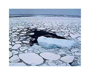 Atmospheric carbon dioxide buildup unlikely to spark abrupt climate change