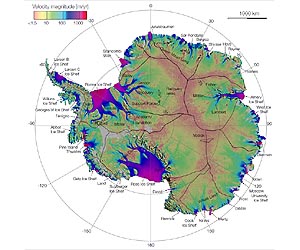 Russia blocks bid for Antarctic sanctuary: NGOs