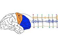 It don't mean a thing if the brain ain't got that swing