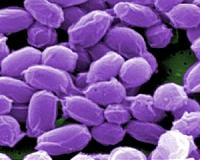 US govt lab reveals series of dangerous mix-ups
