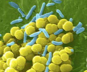 Antibiotic-resistant bacteria have evolved a unique chemical mechanism