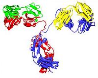 Scientists call for antibody 'bar code' to follow Human Genome Project