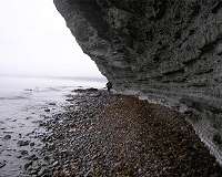 UNM scientists find widespread ocean anoxia as cause for past mass extinction