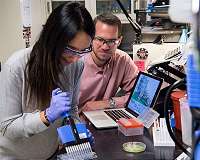 NREL research finds a sweet spot for engineering better cellulose-degrading enzymes