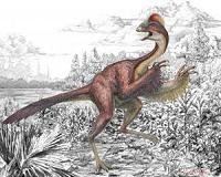 A 'chicken from hell' dinosaur