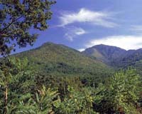 Appalachian History Gives New Perspective of How Workers View Jobs
