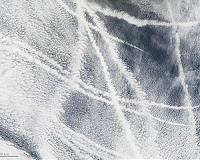 Ship tracks form letter A above Pacific