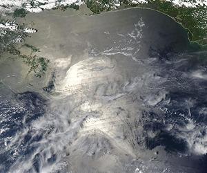 Oil from BP spill traveled 500 kilometers: scientists